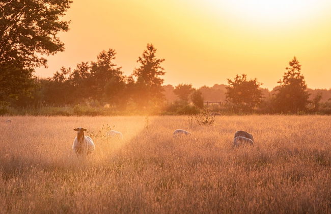 Lodge by Dutch Meadows With Scenic Veranda - Photo 37