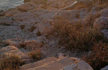 HOUSE Kod dide - Foto 39