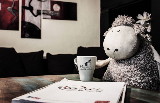 La Canonica – Charming apartments in Nizza Monferrato - Foto 65