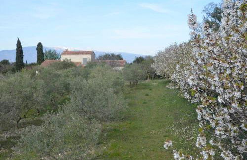 Sous le figuier - Foto 26