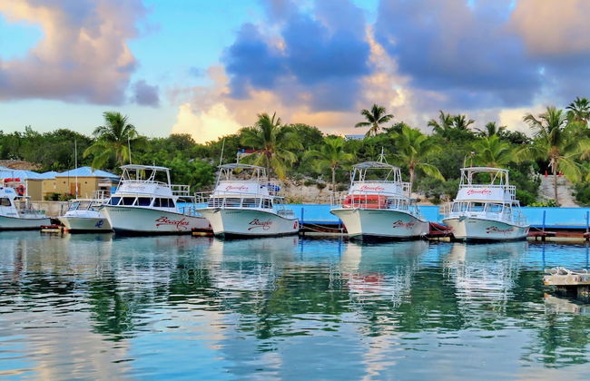 Harbour Club Villas & Marina - Foto 36