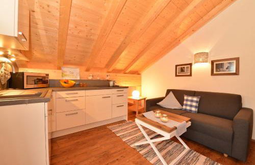 Alpenhaus Steiner - Top-Ferienwohnungen - Sommer-Bergbahn inklusive - Foto 23