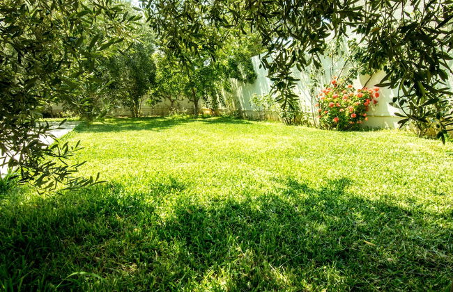 Mahdia Place Apartments - Foto 45