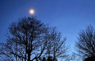 Cosy Studio on the Mendip Way - Foto 26