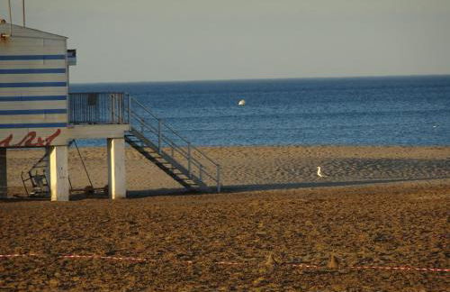 Domaine du Petit Tournebelle - Foto 79