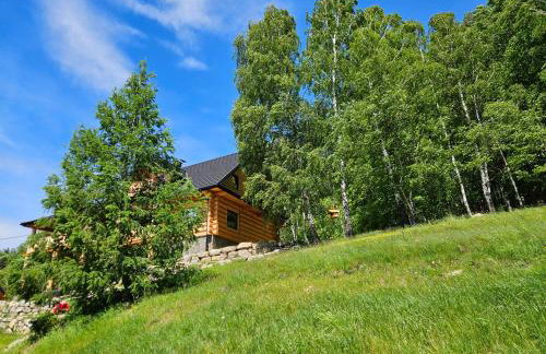 AleBale Przesieka luksusowy dom z bali z widokiem na Karkonosze - Foto 5