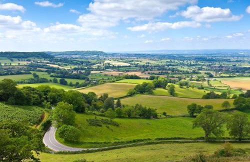 Dusty's Stable - E4751 - Photo 9