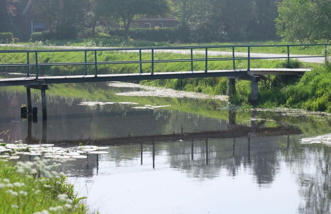 Dollhouse Modern Retreat - Foto 18