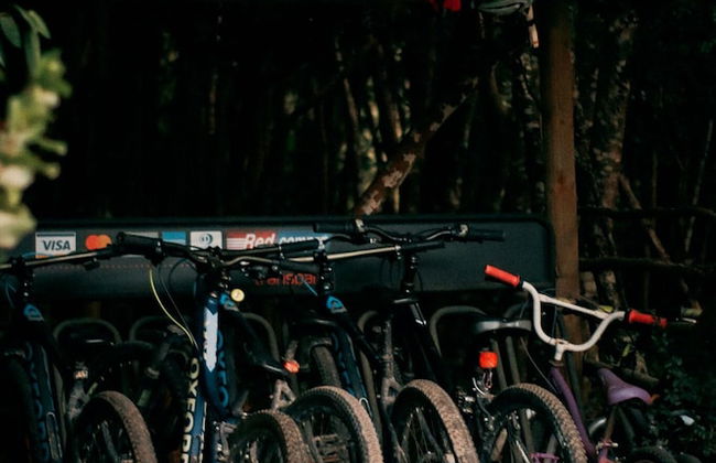 Cabañas Ensenada Bosque Nativo - Foto 55