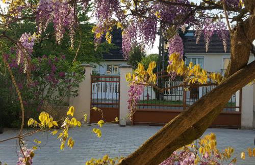 Konforta : Paisible maison d'été avec grand jardin - Foto 40