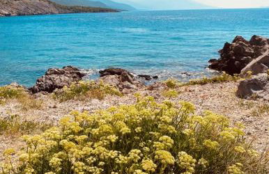 Apartment Valentina - Foto 76