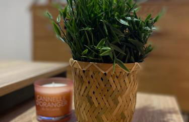 Le Terracotta - Confort en plein centre - Foto 16