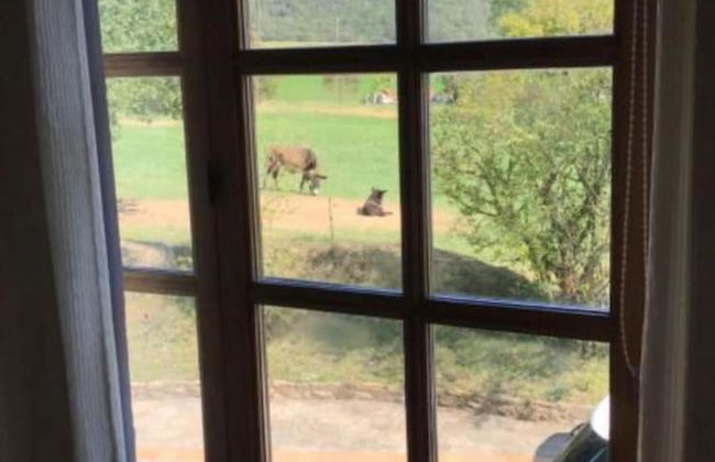 Casa Can Boix - Foto 38