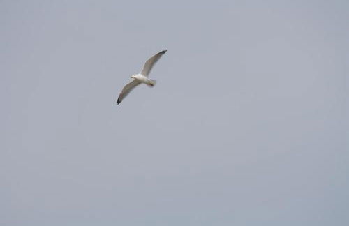 Reethus Stöfs - Foto 19