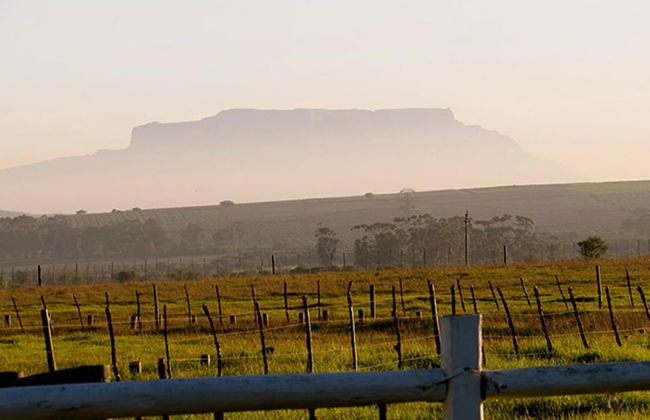 Wild Clover Cottages - Foto 16