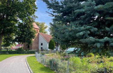 Winnica Bursztynowa - Foto 29