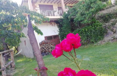 Casa Rural El Arroyo - Foto 63