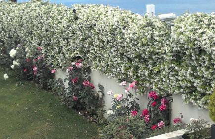 Villa Markos - Foto 32