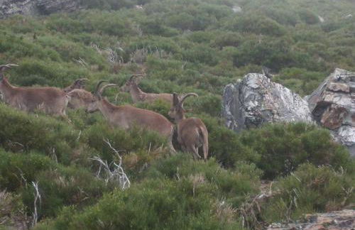 Casa Rural Arroal - Foto 42