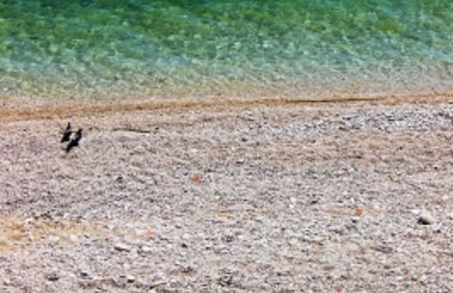 Apartments Pansion Franka 4 - Foto 21