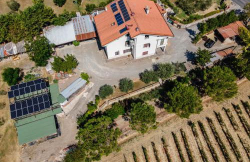 Sole Verde green house - Foto 7