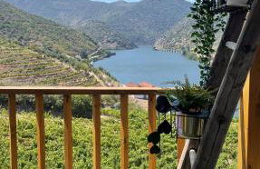 My Grandmas A casa das avós - Foto 1