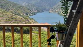 My Grandmas A casa das avós - Foto 1