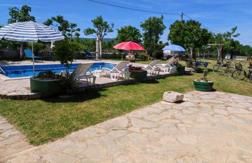 Nikini dvori - Foto 17