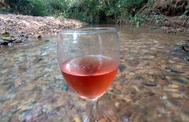 Casa confortável, pertinho da cidade e conectada a natureza - Foto 21