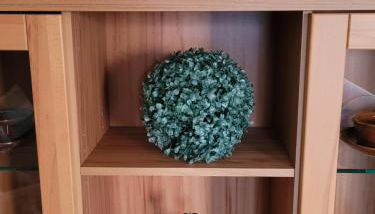 Wohnung mit Wintergarten - Foto 5