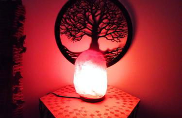 Maison Prestige Le Donjon des Plaisirs Jacuzzi - Foto 18