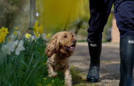 Retreat East - Foto 66