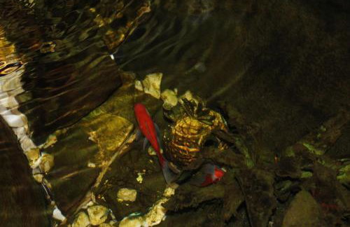 Casa Rural Los 3 Panetes - Foto 12