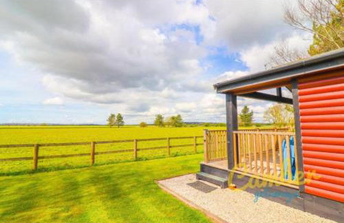 Rainbow Petty - Romney Marsh, Kent - Photo 7