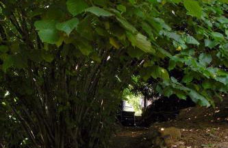 Haus Marta - Photo 46