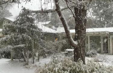 Mulberry Pines - Foto 31