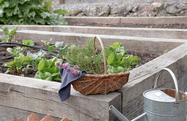 Linscott Farmhouse in Moretonhampstead - Foto 57