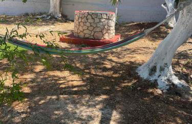 Evas Home - Foto 36