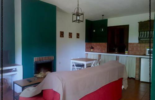 Apartamento Rural Las Palmeras - Foto 19