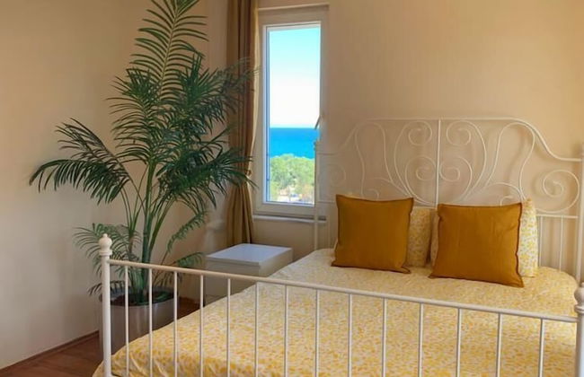 Lara Suits - Foto 31