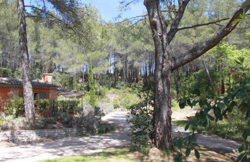 La Petite Yolande - Foto 18