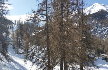 Le Lodge des marmottes - Calme, cosy, vue nature - Photo 22