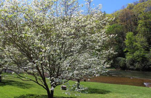 Rivers Edge - Photo 55