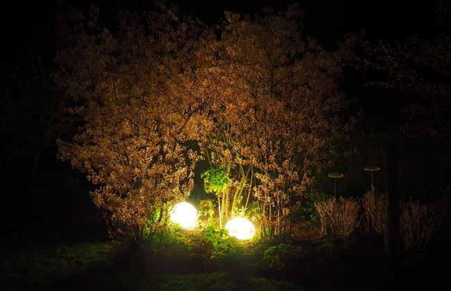 Mountain Apartment in Ehrenberg - Foto 20