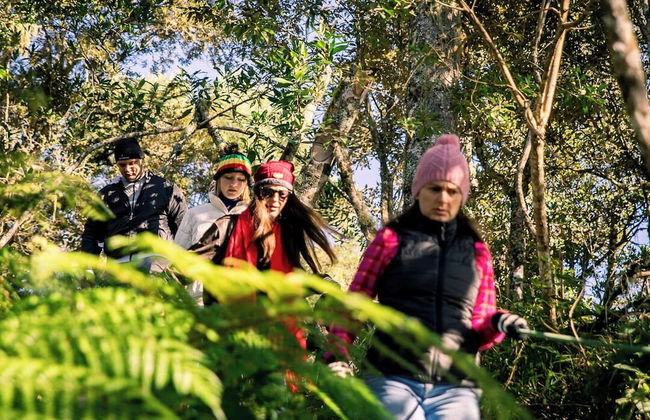 Sítio Mar de Nuvens Chalés de Luxo - Photo 72