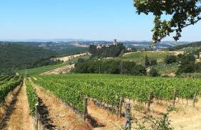 Chianti Craft House Badia a Passignano - Foto 31