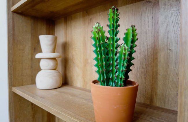 Cocon Dumyse, proche du Jardin botanique - Foto 10