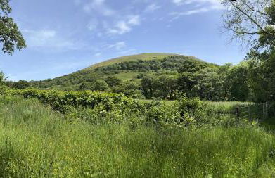 Baddegai Holiday Cottage - Photo 35