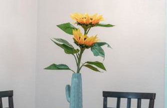 Wind Song - You Finally Found the Place You Were Looking For - Foto 7