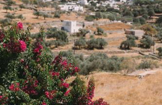 Nissos Suites - Foto 61